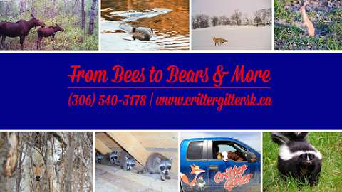 Critter Gitter Wildlife Control Services